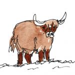 Grumpy Highland Coo Coaster