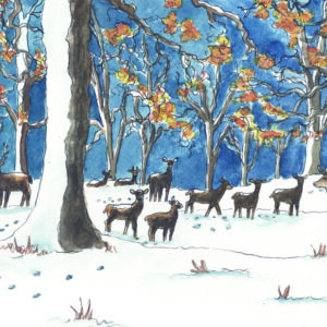 Levens deer park in the snow greetings card by Sophie Martin
