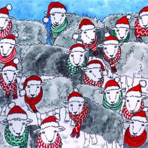Festive Herdwick sheep