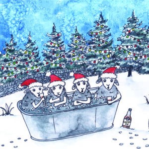 Ice bath Herdwicks